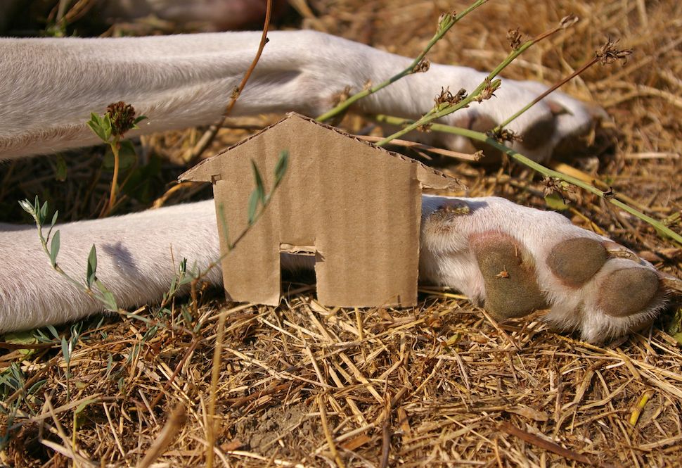 The Gossip Column: July 19, 2024